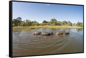 Aerial View of Hippo Pond, Moremi Game Reserve, Botswana-Paul Souders-Framed Stretched Canvas