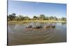 Aerial View of Hippo Pond, Moremi Game Reserve, Botswana-Paul Souders-Stretched Canvas