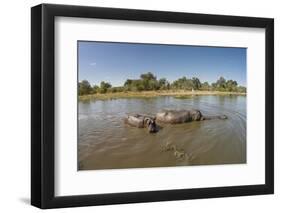 Aerial View of Hippo Pond, Moremi Game Reserve, Botswana-Paul Souders-Framed Premium Photographic Print