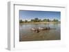 Aerial View of Hippo Pond, Moremi Game Reserve, Botswana-Paul Souders-Framed Premium Photographic Print