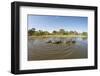 Aerial View of Hippo Pond, Moremi Game Reserve, Botswana-Paul Souders-Framed Premium Photographic Print