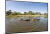 Aerial View of Hippo Pond, Moremi Game Reserve, Botswana-Paul Souders-Mounted Premium Photographic Print