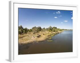 Aerial View of Hippo Pond, Moremi Game Reserve, Botswana-Paul Souders-Framed Photographic Print