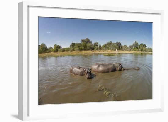 Aerial View of Hippo Pond, Moremi Game Reserve, Botswana-Paul Souders-Framed Photographic Print