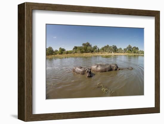 Aerial View of Hippo Pond, Moremi Game Reserve, Botswana-Paul Souders-Framed Photographic Print