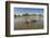 Aerial View of Hippo Pond, Moremi Game Reserve, Botswana-Paul Souders-Framed Photographic Print