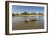 Aerial View of Hippo Pond, Moremi Game Reserve, Botswana-Paul Souders-Framed Photographic Print