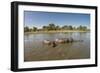 Aerial View of Hippo Pond, Moremi Game Reserve, Botswana-Paul Souders-Framed Photographic Print