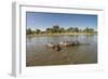 Aerial View of Hippo Pond, Moremi Game Reserve, Botswana-Paul Souders-Framed Photographic Print