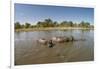 Aerial View of Hippo Pond, Moremi Game Reserve, Botswana-Paul Souders-Framed Photographic Print