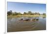 Aerial View of Hippo Pond, Moremi Game Reserve, Botswana-Paul Souders-Framed Photographic Print