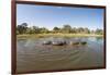 Aerial View of Hippo Pond, Moremi Game Reserve, Botswana-Paul Souders-Framed Photographic Print