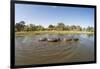 Aerial View of Hippo Pond, Moremi Game Reserve, Botswana-Paul Souders-Framed Photographic Print