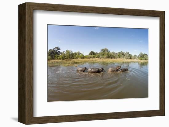 Aerial View of Hippo Pond, Moremi Game Reserve, Botswana-Paul Souders-Framed Photographic Print