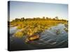 Aerial View of Hippopotamus at Sunset, Moremi Game Reserve, Botswana-Paul Souders-Stretched Canvas