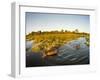 Aerial View of Hippopotamus at Sunset, Moremi Game Reserve, Botswana-Paul Souders-Framed Premium Photographic Print