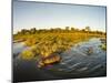 Aerial View of Hippopotamus at Sunset, Moremi Game Reserve, Botswana-Paul Souders-Mounted Premium Photographic Print