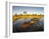 Aerial View of Hippopotamus at Sunset, Moremi Game Reserve, Botswana-Paul Souders-Framed Premium Photographic Print