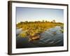 Aerial View of Hippopotamus at Sunset, Moremi Game Reserve, Botswana-Paul Souders-Framed Photographic Print