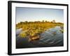 Aerial View of Hippopotamus at Sunset, Moremi Game Reserve, Botswana-Paul Souders-Framed Photographic Print