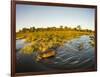 Aerial View of Hippopotamus at Sunset, Moremi Game Reserve, Botswana-Paul Souders-Framed Photographic Print