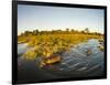 Aerial View of Hippopotamus at Sunset, Moremi Game Reserve, Botswana-Paul Souders-Framed Photographic Print