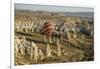 Aerial View of Hot Air Balloons, Cappadocia, Central Anatolia, Turkey-Ali Kabas-Framed Photographic Print