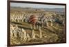 Aerial View of Hot Air Balloons, Cappadocia, Central Anatolia, Turkey-Ali Kabas-Framed Photographic Print