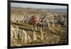 Aerial View of Hot Air Balloons, Cappadocia, Central Anatolia, Turkey-Ali Kabas-Framed Photographic Print