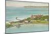 Aerial View of Hotel del Coronado - Coronado Beach, CA-Lantern Press-Mounted Art Print