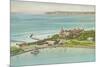 Aerial View of Hotel del Coronado - Coronado Beach, CA-Lantern Press-Mounted Art Print