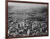 Aerial View of Houston and Surrounding Suburbs-null-Framed Photographic Print