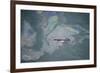 Aerial View of Humpback Whale (Megaptera Novaeangliae) Swimming Through Oil Slick-Carwardine-Framed Photographic Print