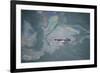 Aerial View of Humpback Whale (Megaptera Novaeangliae) Swimming Through Oil Slick-Carwardine-Framed Photographic Print