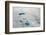 Aerial view of ice sheet, Greenland-Keren Su-Framed Photographic Print