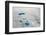 Aerial view of ice sheet, Greenland-Keren Su-Framed Photographic Print