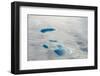 Aerial view of ice sheet, Greenland-Keren Su-Framed Photographic Print