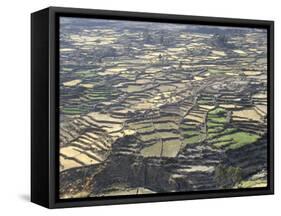Aerial View of Inca Terraces, Colca Canyon, Chivay, Peru, South America-Christopher Rennie-Framed Stretched Canvas