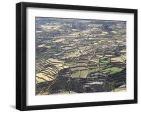 Aerial View of Inca Terraces, Colca Canyon, Chivay, Peru, South America-Christopher Rennie-Framed Photographic Print