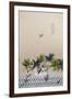 Aerial View of Ipanema Beach, Rio De Janeiro, Brazil-Ian Trower-Framed Photographic Print