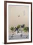 Aerial View of Ipanema Beach, Rio De Janeiro, Brazil-Ian Trower-Framed Photographic Print