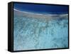 Aerial view of island, French Polynesia-Panoramic Images-Framed Stretched Canvas