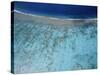 Aerial view of island, French Polynesia-Panoramic Images-Stretched Canvas