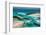 Aerial View of Island in Caribbean Sea, Great Exumand, Bahamas-null-Framed Photographic Print