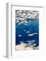 Aerial View of Islands in the Ocean, Indonesia-Keren Su-Framed Photographic Print