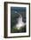 Aerial View of Kaieteur Falls and the Potaro River in Full Spate, Guyana, South America-Mick Baines & Maren Reichelt-Framed Photographic Print