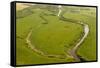 Aerial View of Kasari River, Matsalu National Park, Estonia, May 2009-Rautiainen-Framed Stretched Canvas