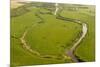 Aerial View of Kasari River, Matsalu National Park, Estonia, May 2009-Rautiainen-Mounted Photographic Print