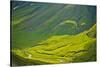Aerial view of Katmai National Park, Alaska, USA-Jerry Ginsberg-Stretched Canvas