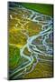 Aerial view of Katmai National Park, Alaska, USA-Jerry Ginsberg-Mounted Photographic Print